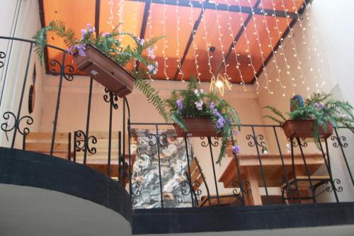 Фотографии хостела
Central Rank Garden