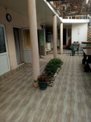 Фотография мини отеля Молодежная