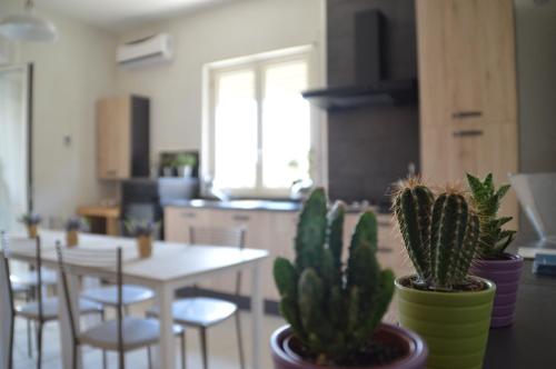 Фотография мини отеля B&B La Via di Casa