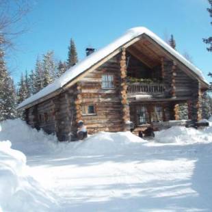 Фотографии гостевого дома
Ylläshilla Cottage