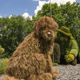 Фотография достопримечательности Парк топиарного искусства