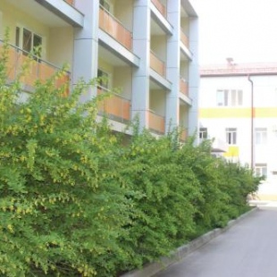 Фотография санатория АО Боровичский комбинат огнеупоров