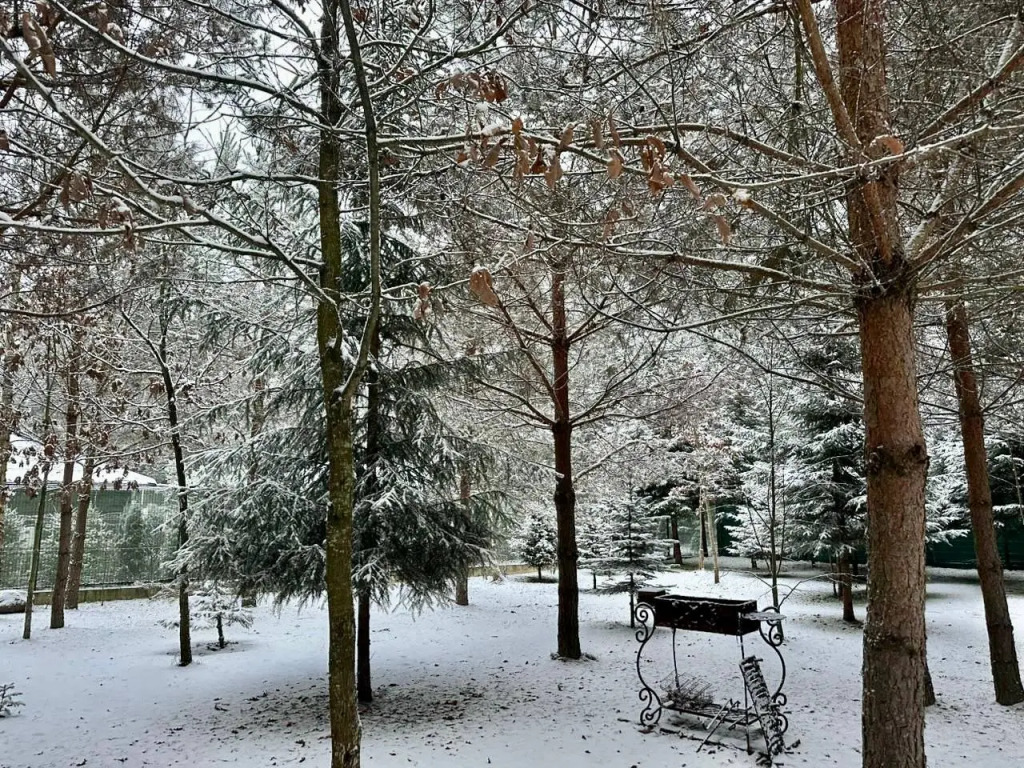 Фотография Коттеджа Частный дом Премиальный семейный дом в сосновом лесу