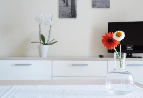 Фотография гостевого дома CIVICO33