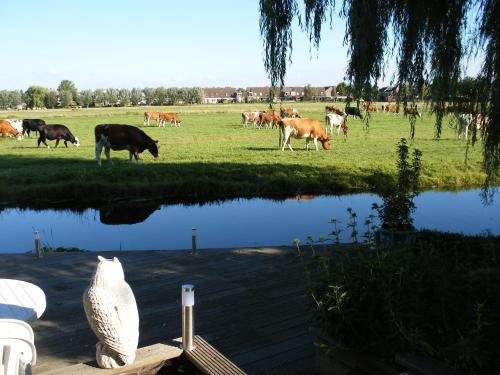 Фотография мини отеля B&B-Edam