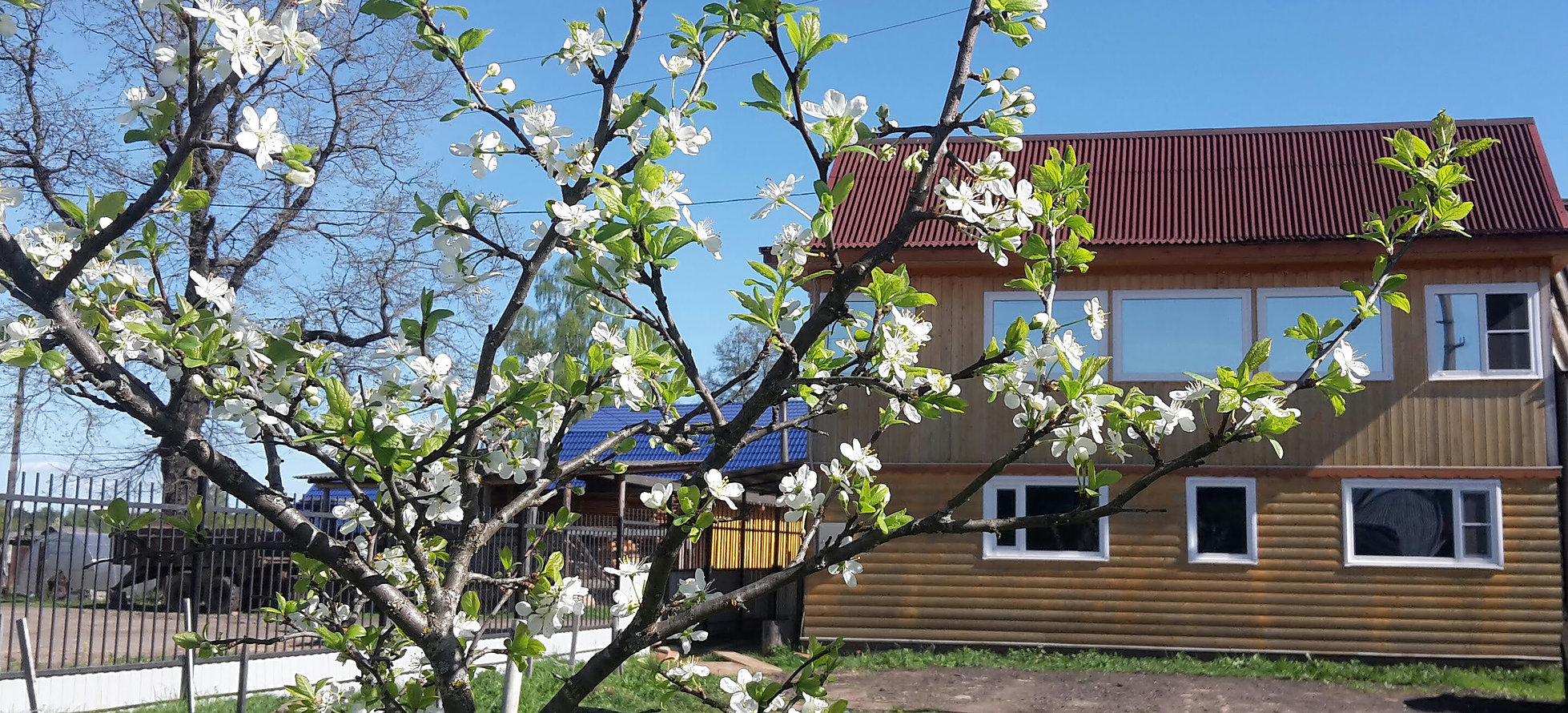 Фотография гостевого дома У Михалыча