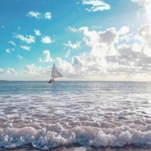 Фотография мини отеля Pousada Flor de Maraca