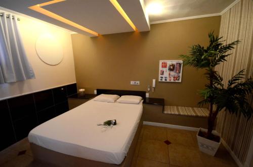 Фотография мини отеля Motel Paradiso Carazinho (Adults Only)