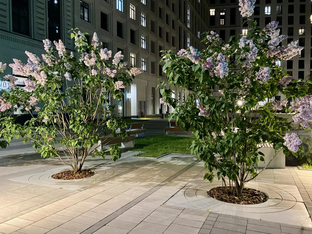 Фотография квартиры Comfort & Relax Home на улице Новоалексеевская