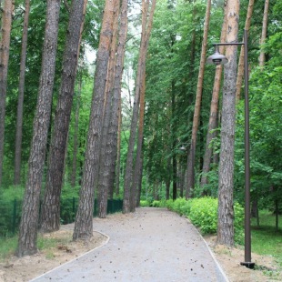 Фотография Дендрологический парк Волхонка