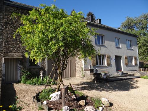 Фотография мини отеля B&B Le bruissement