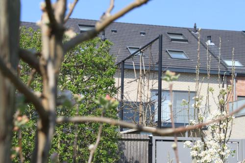 Фотография мини отеля B&B Atuatuca