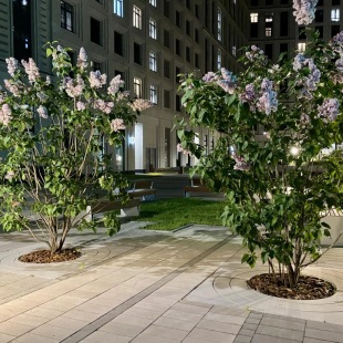 Фотография квартиры Comfort & Relax Home на улице Новоалексеевская