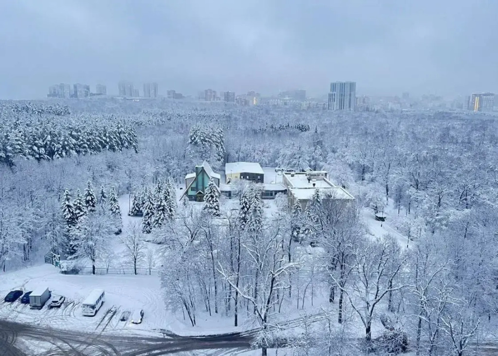 Фотография квартиры Апартаменты Мать и Дитя