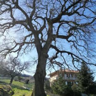 Фотографии мини отеля 
            Amor di Lavanda