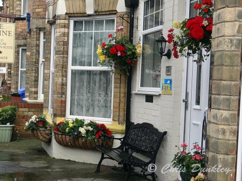 Фотография гостевого дома Jasmine Guest House