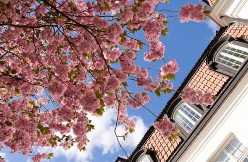 Фотография хостела Uppsala City Hostel