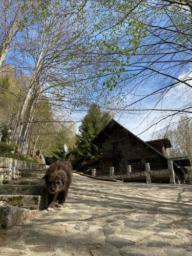 Фотографии гостевого дома
Pensiunea Lac