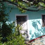 Фотография хостела Keno's Apartment