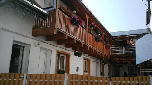 Фотография гостевого дома Pensiunea Joker