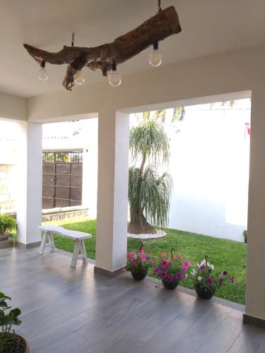 Фотография апарт отеля Casa AMMAH