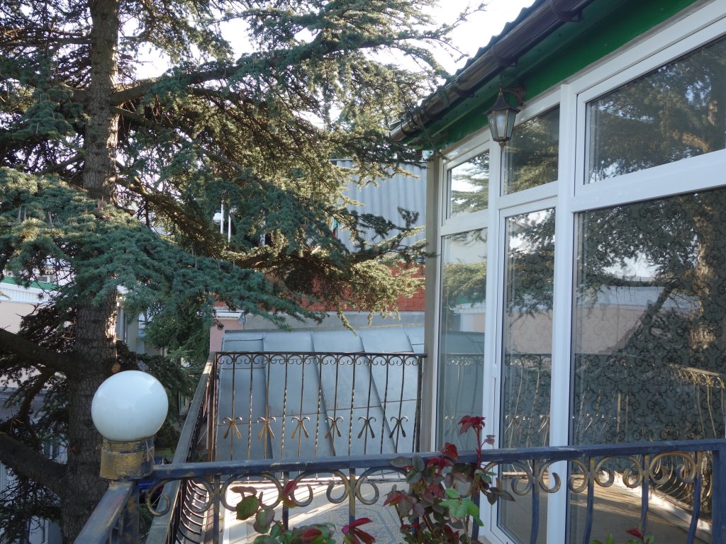 Фотография мини отеля Ливадия