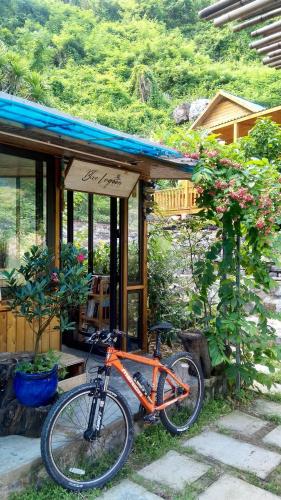 Фотографии гостиницы
Blue Lagoon Cat Ba