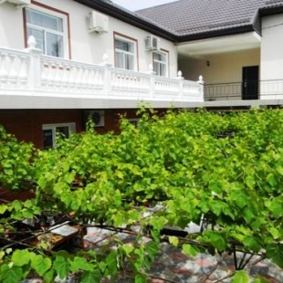 Фотография гостевого дома Александрия