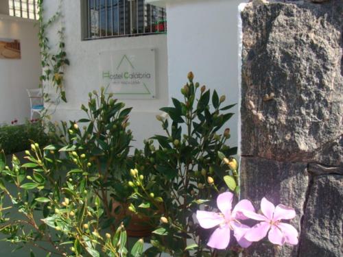 Фотография хостела Hostel Calábria