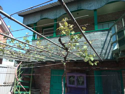 Фотография гостевого дома Романенко