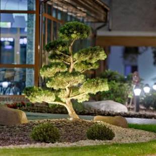 Фотографии гостиницы
Gradiali Wellness and SPA