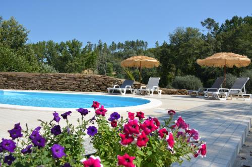 Фотография мини отеля B&B en Glamping Quinta do Rio Alva