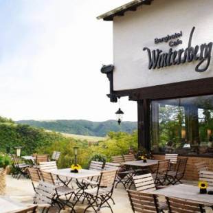 Фотографии гостиницы
Berghotel Wintersberg