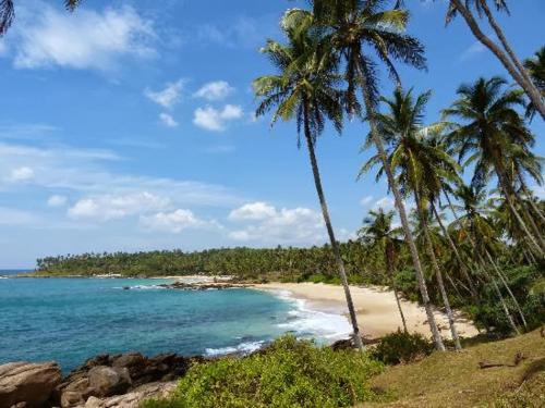 Фотография гостиницы Palm Paradise Cabanas & Villas Beach Resort