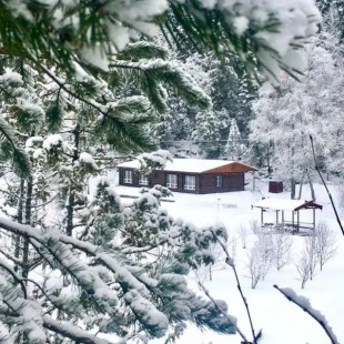 Фотография квартиры Апартаменты VILLANORDA