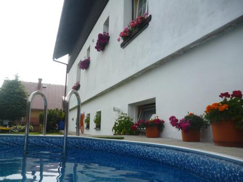 Фотография гостевого дома Pension Pugner