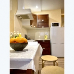 Фотография квартиры Апартаменты Днепровский Апарт