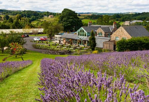 Фотография гостиницы Black Horse Beamish