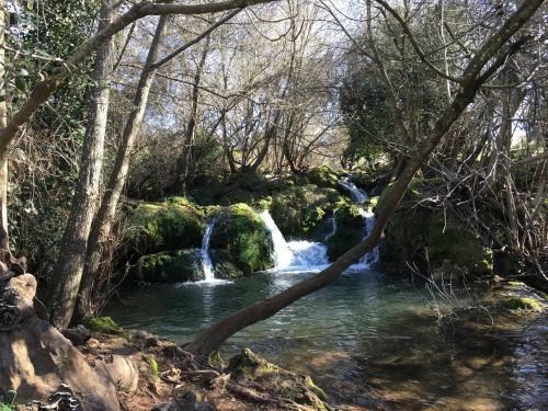 Фотография гостевого дома Casa Rural Nacimiento del Huéznar - Tomillo 23