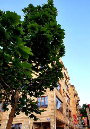 Фотография мини отеля LA PALMA