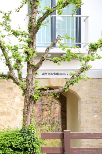 Фотография гостевого дома Alte Stadtmauer - Apartment