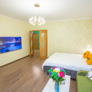 Фотография квартиры Апартаменты Малыгина 50-8 Lima