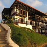 Фотография гостиницы Coffee Tree Boutique Hostel