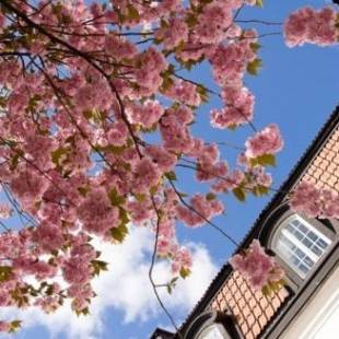 Фотографии хостела
Uppsala City Hostel