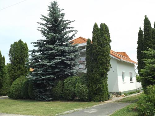 Фотография гостевого дома Hévízi fecskefészek