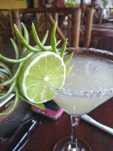 Фотография мини отеля The Pickled Onion Eco-Boutique B&B