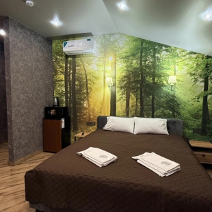 Фотография квартиры Апартаменты студия 10 Дворик Друзей