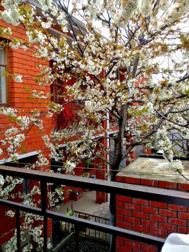 Фотография мини отеля Юнона