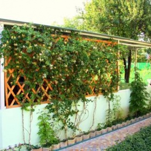 Фотография гостевого дома Северная, 49