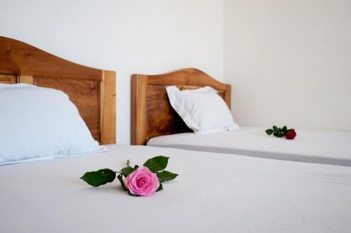 Фотография гостиницы Viet's Hotel